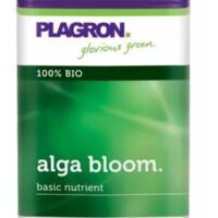 ALGA BLOOM PLAGRON