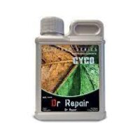 CYCO DR REPAIR 250 ML