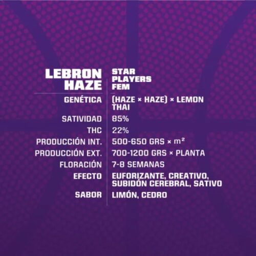 FEM LEBRON HAZE BSF SEEDS
