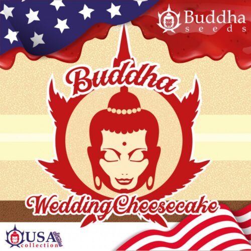 FEM WEDDING CHEESECAKE BUDDHA SEEDS